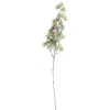 Sonstiger Hersteller Lärchenzweig – 53 Cm 13
