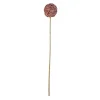 Sonstiger Hersteller Allium – Ca. 58 Cm – Rot 5