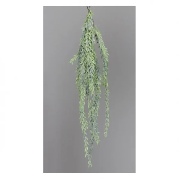 Sonstiger Hersteller Hänge-Sukkulente – Ca. 60 Cm – 1 Stück 1