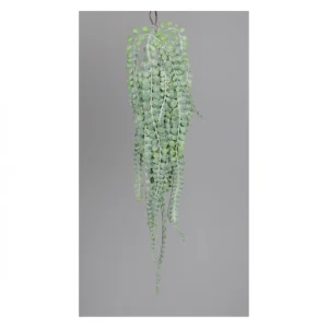 Sonstiger Hersteller Hänge-Sukkulente – Ca. 60 Cm – 1 Stück 7