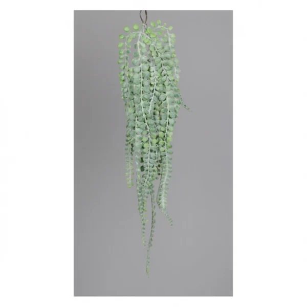 Sonstiger Hersteller Hänge-Sukkulente – Ca. 60 Cm – 1 Stück 3